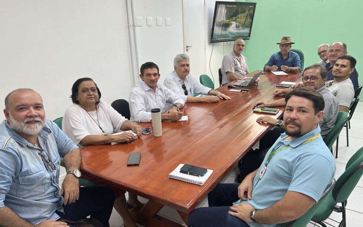 Grupo Gestor Estadual do Plano ABC+ articula ações de fortalecimento do programa no Ceará