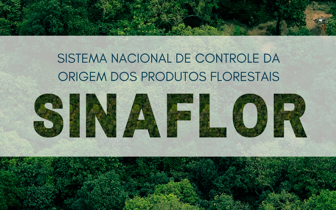 Curso sobre Sinaflor está com inscrições abertas para servidores de órgãos ambientais municipais