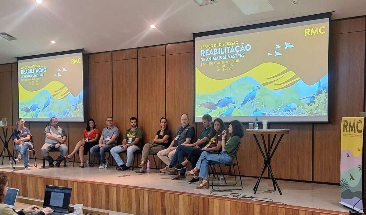 Semace compartilha experiências durante congresso sobre reabilitação e conservação da fauna silvestre, em Belo Horizonte