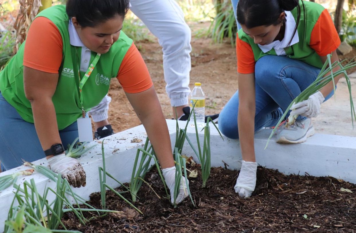 Publicado edital do Programa Agente Jovem Ambiental para atuação no Parque do Cocó