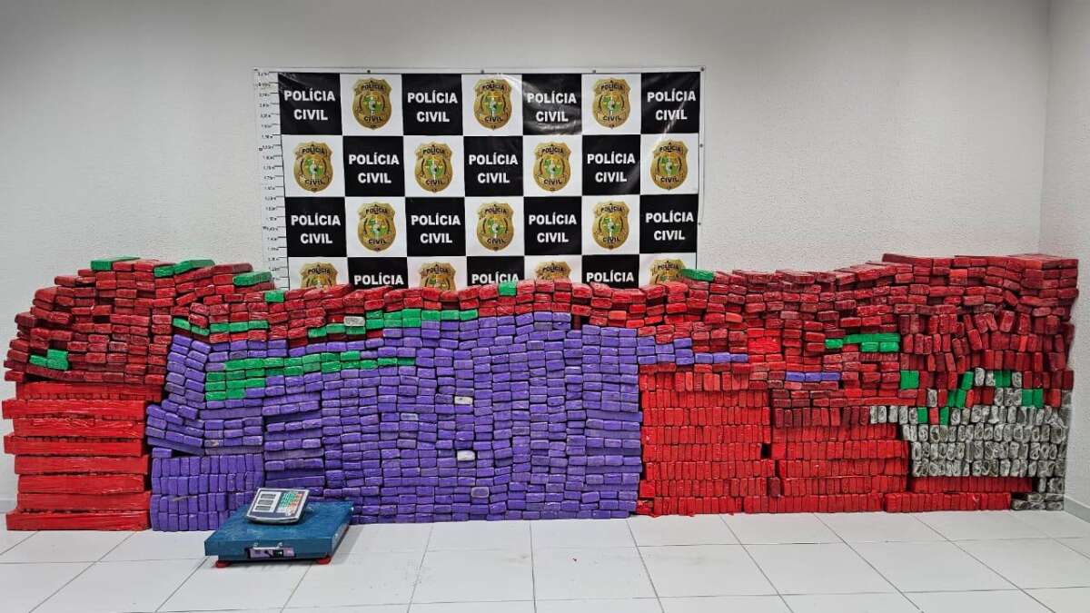 Em dez meses, Forças de Segurança do Ceará apreendem quase 10 toneladas de drogas no Estado; maior quantidade de toda série histórica