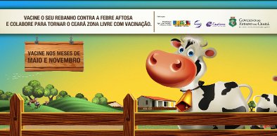 Febre Aftosa: Campanha de Vacinação na reta final