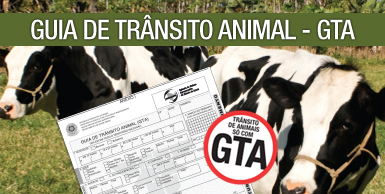 Guia de Transporte Animal começa a ser digitalizada