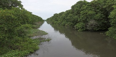 Audiência pública discute projeto de urbanização do Rio Cocó