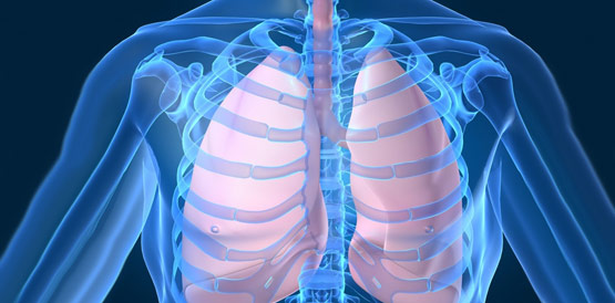 Ceará realiza primeiro transplante pulmonar bilateral do N/NE