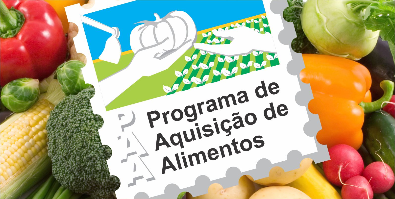 Programa de Aquisição de Alimentos cadastra novos fornecedores
