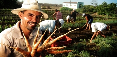 R$ 379 milhões são investidos no fortalecimento da agricultura através do Pronaf