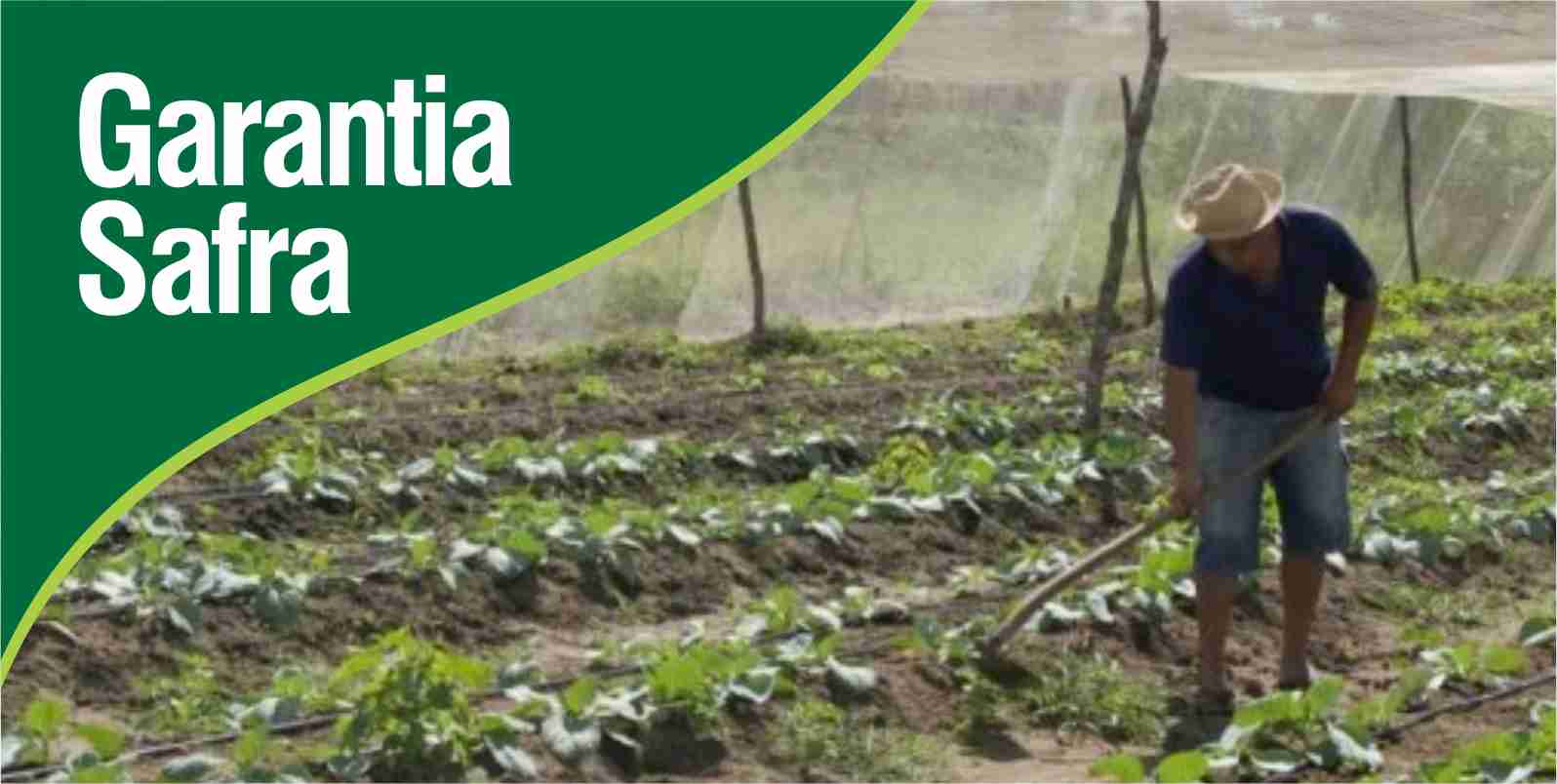 Prorrogado prazo para o pagamento do boleto de adesão ao Garantia-Safra