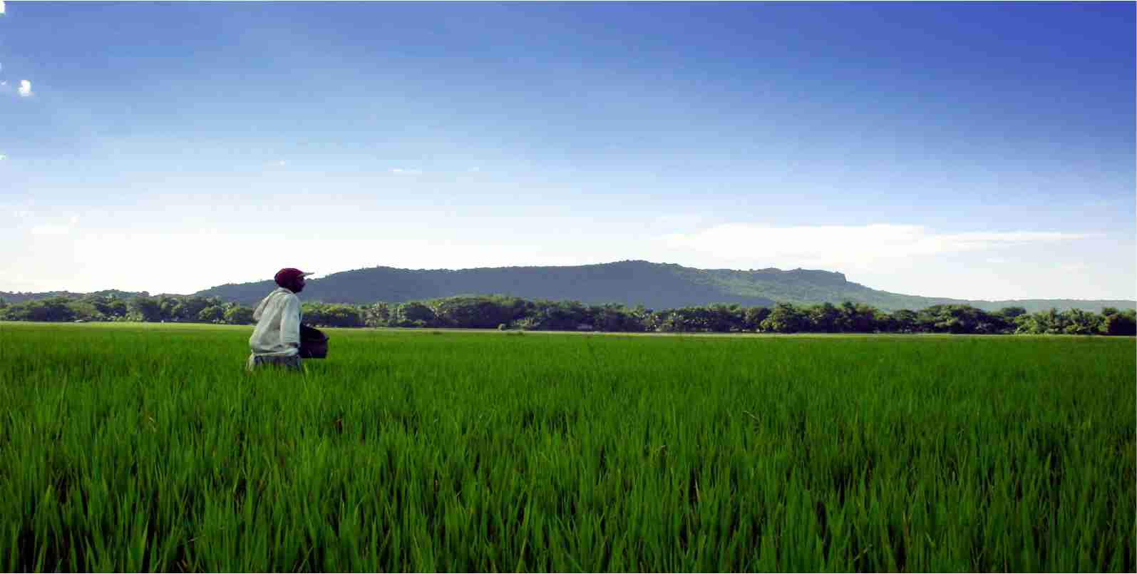 Governo do Estado entrega equipamentos e títulos de terra em Tauá