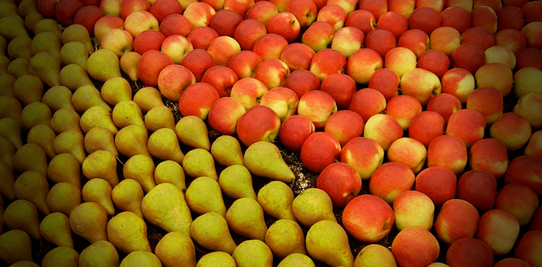 Produção de frutas de clima temperado já é realidade na Serra da Ibiapaba