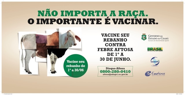 Ceará bate recorde de vacinação contra a febre aftosa