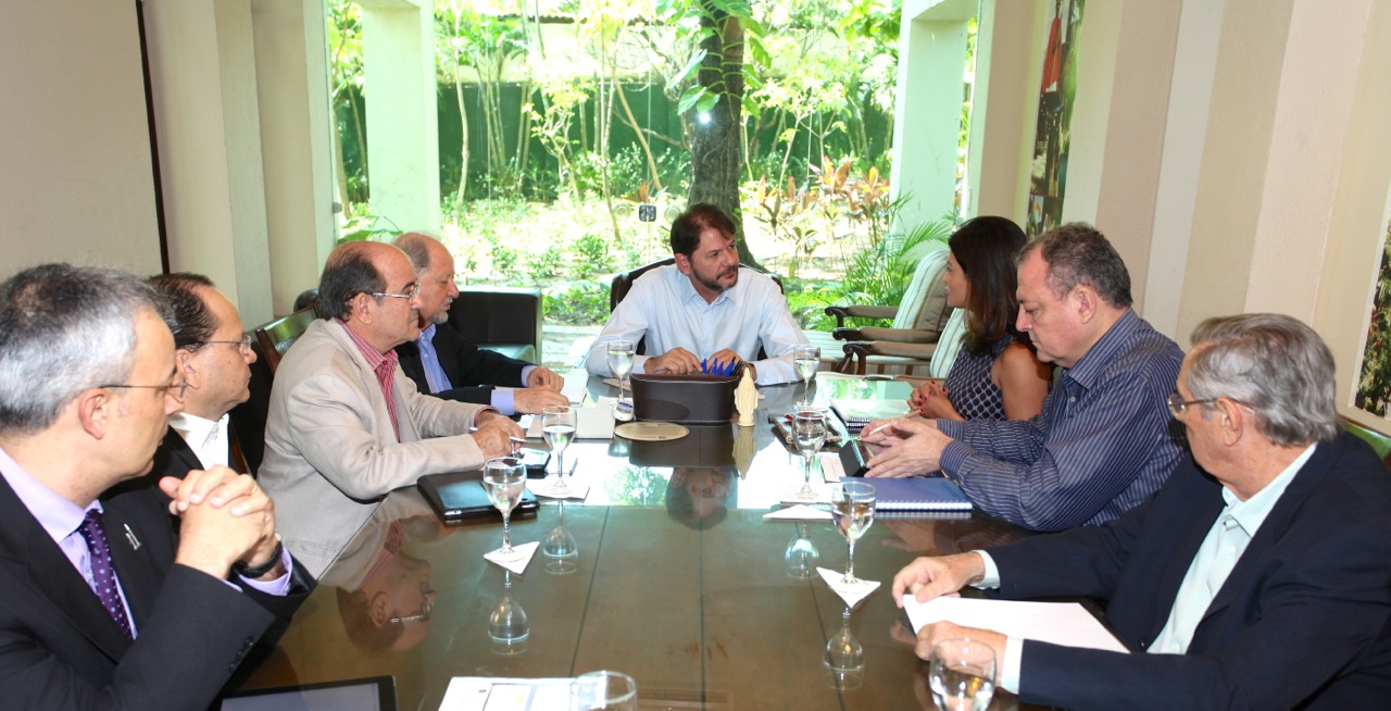Cid Gomes se reúne com Câmara Setorial de Energia Eólica