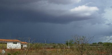 Pré-estação: chove em 126 municípios cearenses
