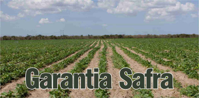 Ceará terá 343 mil vagas no Garantia-Safra