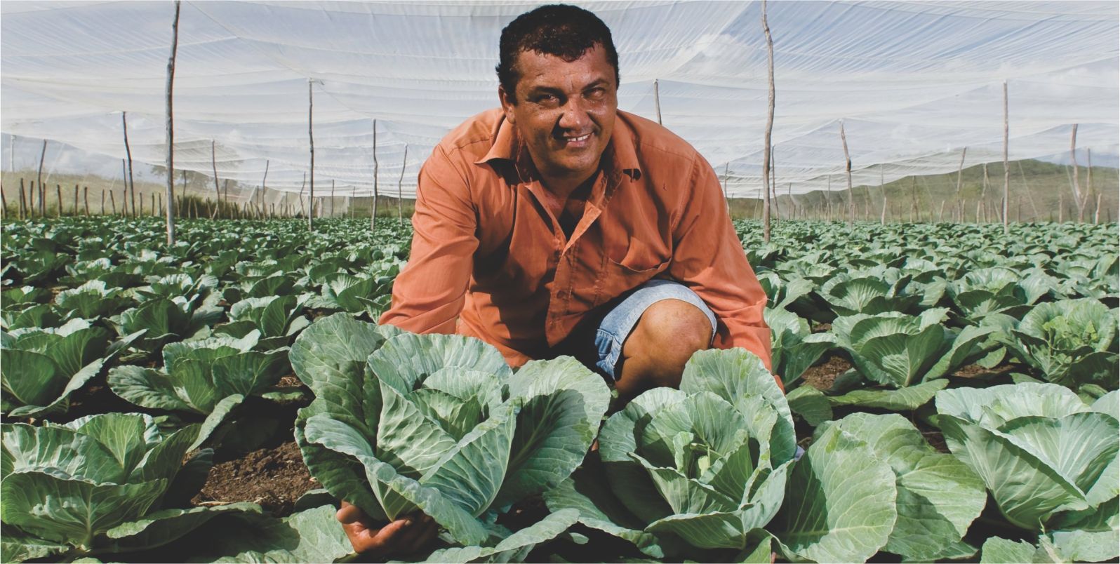 Garantia-Safra: adesão dos agricultores acontecerá até 31 de janeiro