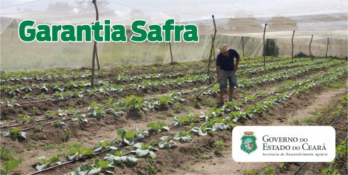 Garantia Safra: Mais de 334 mil agricultores aderiram ao benefício