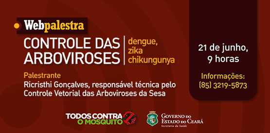 Webpalestra reforça controle das arboviroses