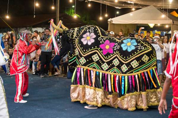 #CearádeAtitude: a paixão do Mestre Zé Pio em ensinar a magia do Bumba Meu Boi