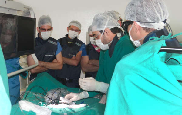 Cardiologistas de outros estados recebem treinamento no Hospital de Messejana