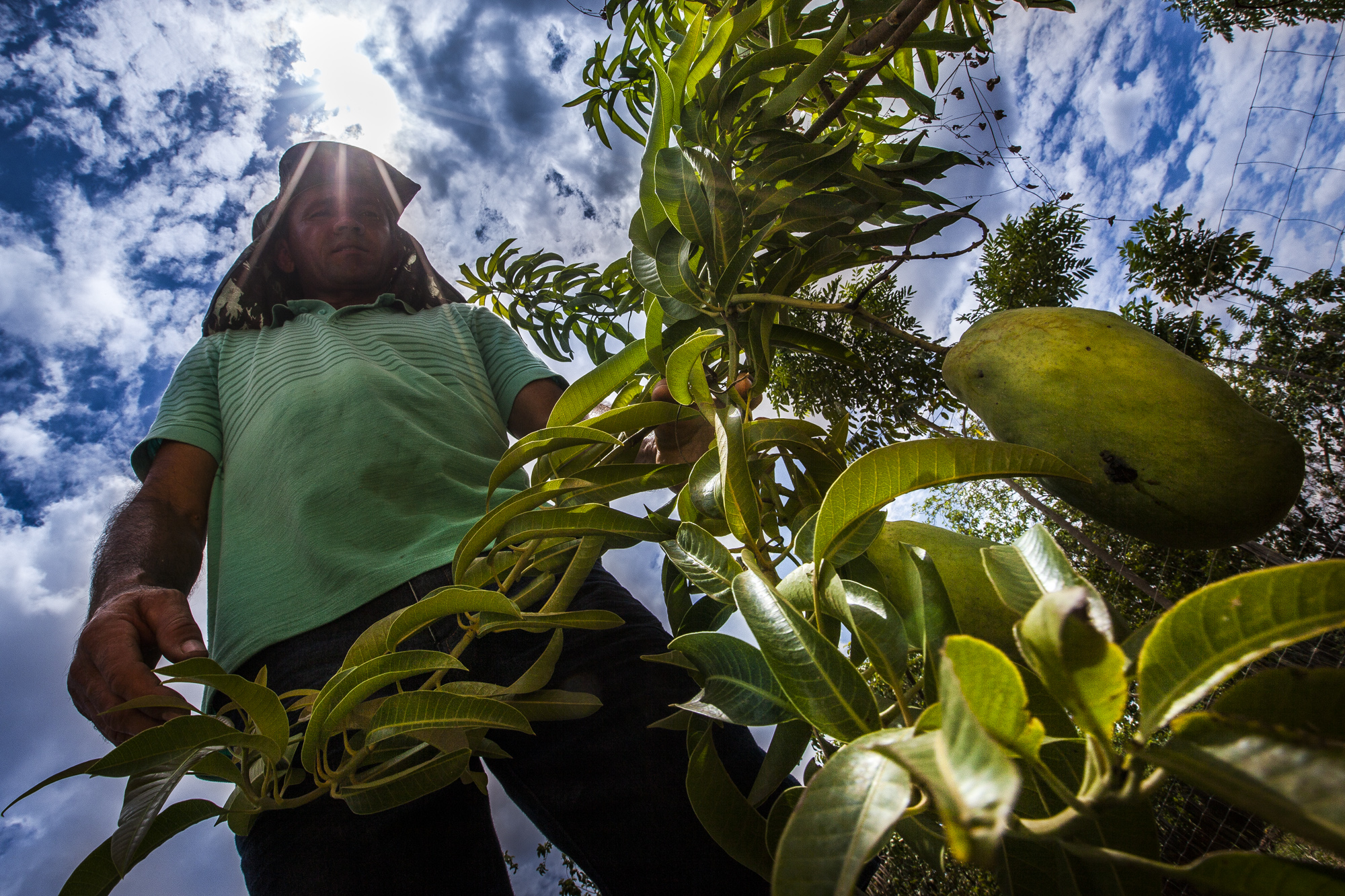 Governo do Ceará investe R$ 37,9 milhões em cooperativas e produtores rurais