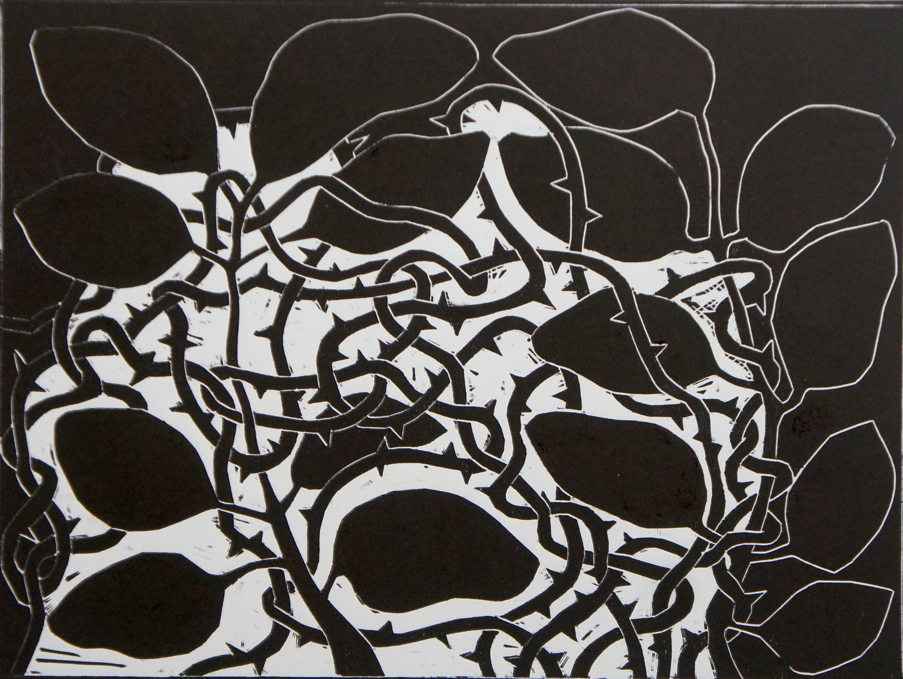 Galeria do Palácio da Abolição recebe mostra Mato Branco, de Roberto Galvão