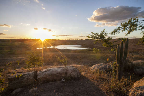Ceará muda regras para combate e prevenção a incêndios florestais