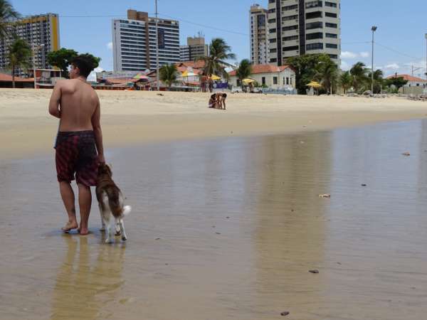 Balnebilidade: Hotéis e barracas têm praias próprias para banho