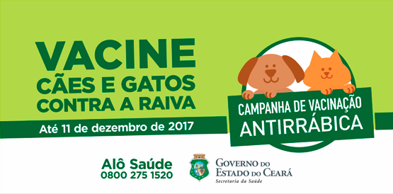 Vacinação contra raiva imunizou 1,4 milhão de cães e gatos no Ceará