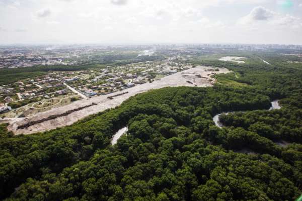 Inscrições para o Conselho Gestor do Parque do Cocó terminam dia 28 de fevereiro
