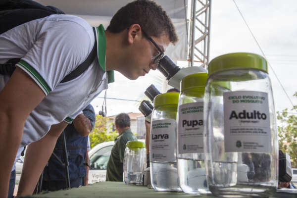 Exposição Aedes promove caminhada educativa para conscientizar população