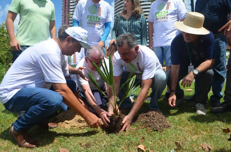 Festa Anual das Árvores: 3ª Corrida pela Natureza acontece no próximo dia 25