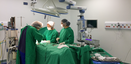 Hospital Regional Norte é referência em cirurgias de alta complexidade