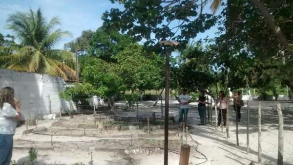 SPD agiliza projeto Vivenciado o Verde: Plantando para o Cuidado