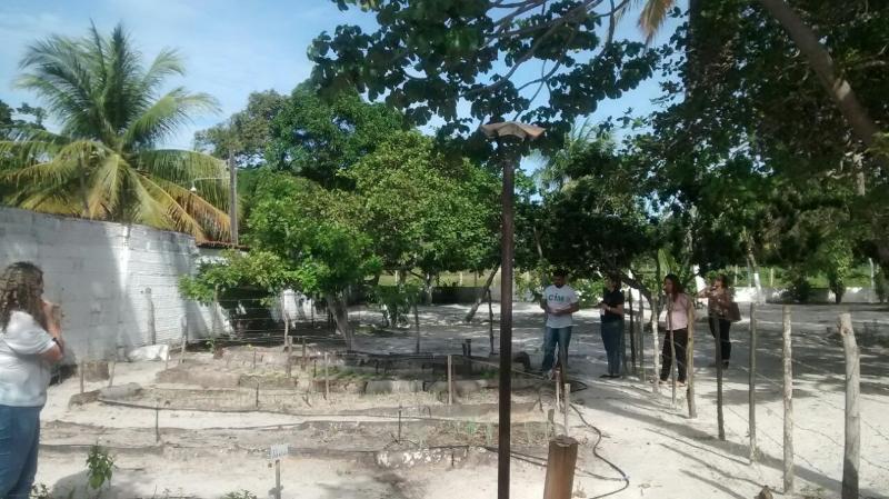 SPD agiliza projeto Vivenciado o Verde: Plantando para o Cuidado