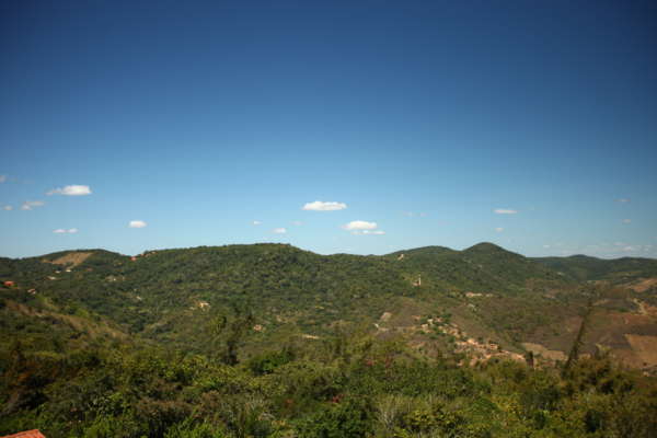 Ceará é campeão na conservação e proteção da Mata Atlântica