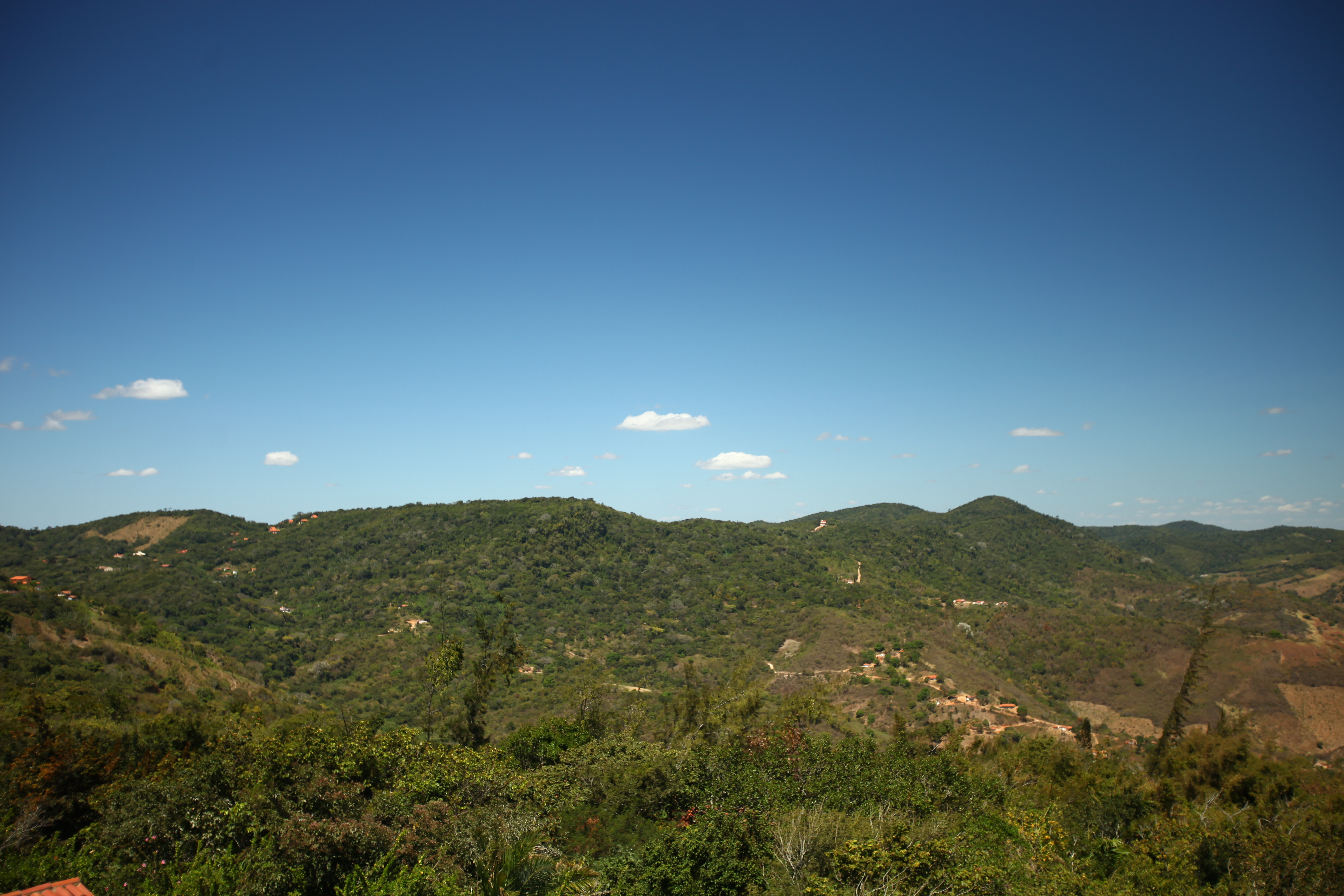 Ceará é campeão na conservação e proteção da Mata Atlântica