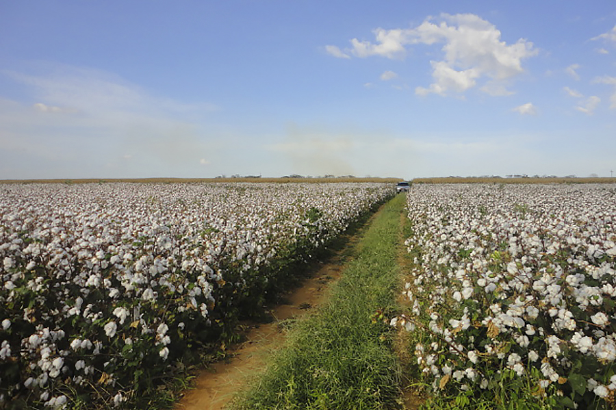 Economia cearense consolida crescimento com alta de 1,55% no PIB do primeiro trimestre