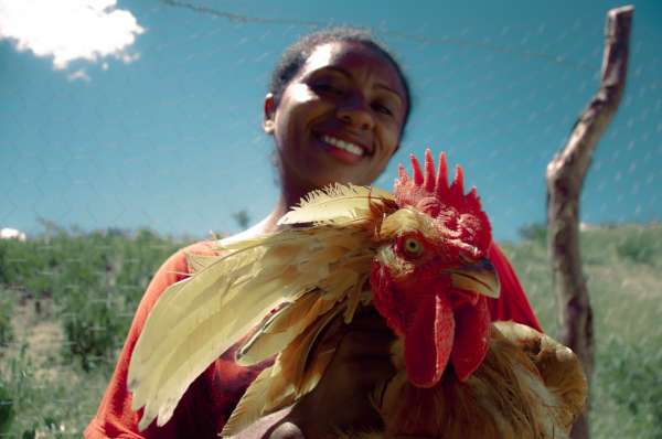 Dia da Consciência Negra: SDA apresenta balanço de ações para quilombolas