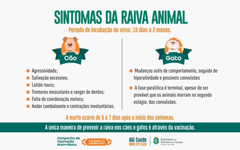 Sábado (24) é Dia D de vacinação contra raiva para cães e gatos