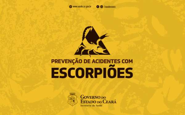 Secretaria da Saúde orienta como prevenir acidentes com escorpiões