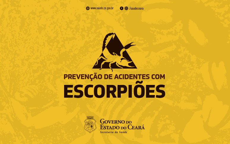 Secretaria da Saúde orienta como prevenir acidentes com escorpiões