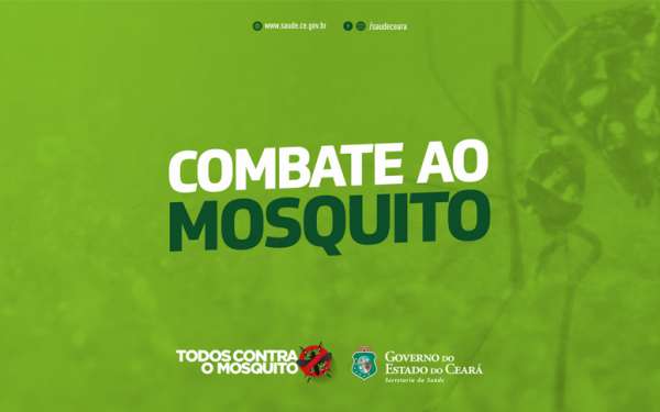 Sesa destaca cuidados para evitar o mosquito nesse período chuvoso