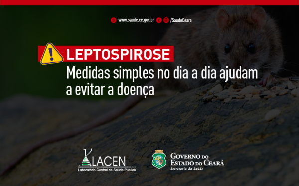 Cuidados simples podem evitar leptospirose