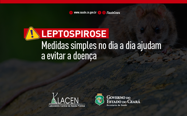 Cuidados simples podem evitar leptospirose