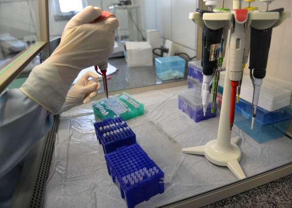 Banco de perfis genéticos é um importante aliado na elucidação de crimes no Ceará