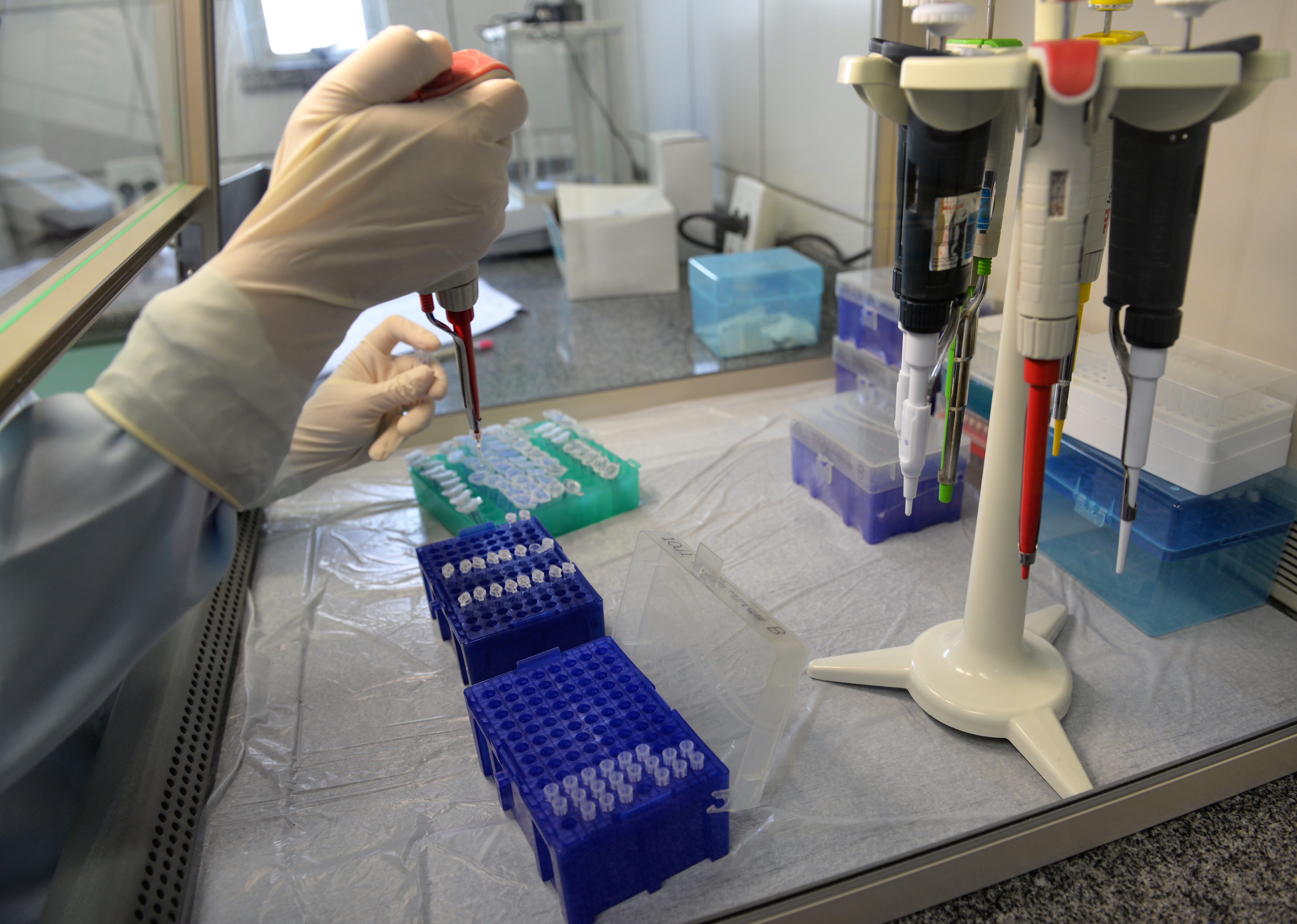 Banco de perfis genéticos é um importante aliado na elucidação de crimes no Ceará