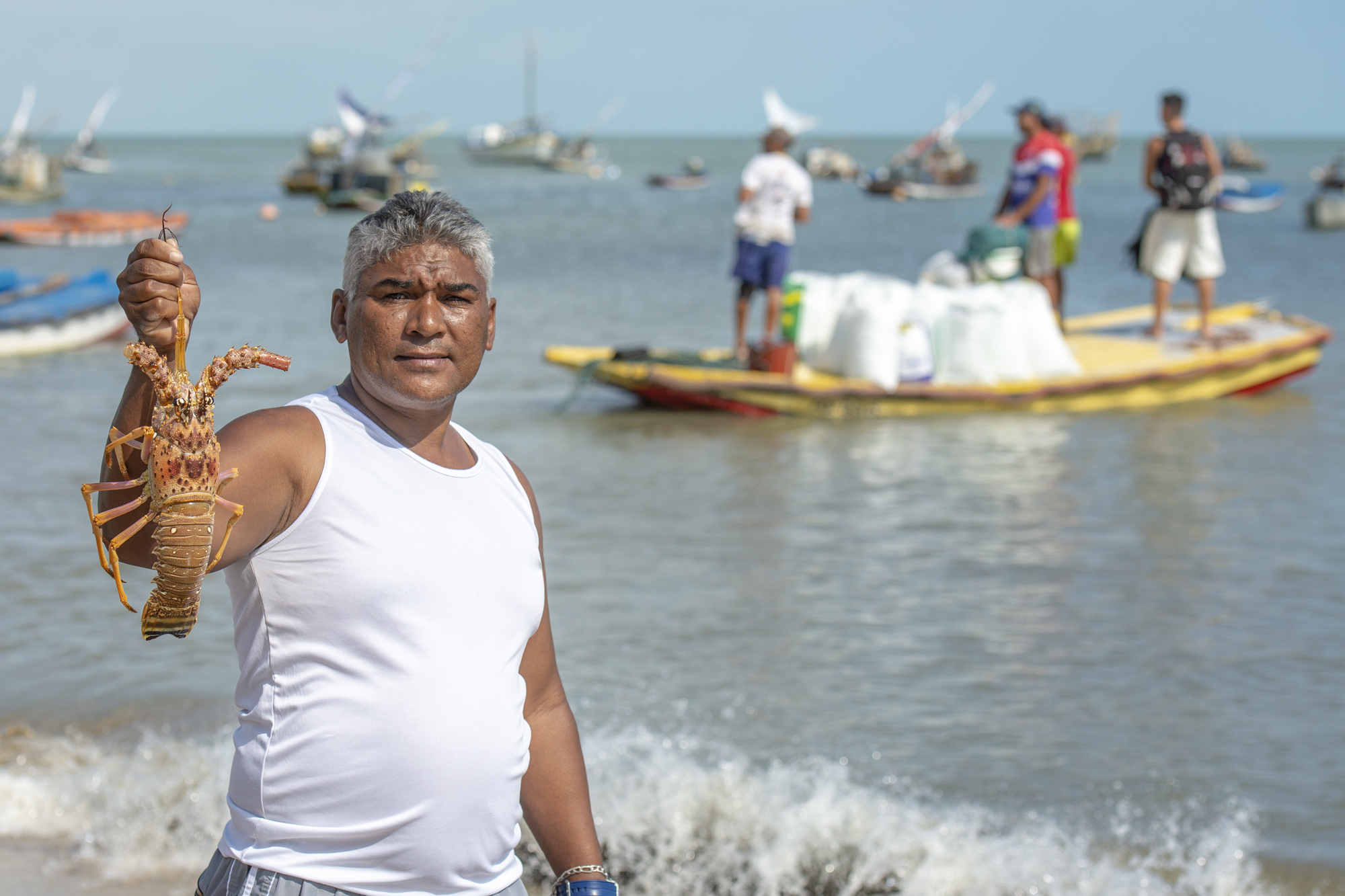 Programa Lagosta Viva prevê aumento da exportação da lagosta inteira, ao mesmo tempo que preserva espécie