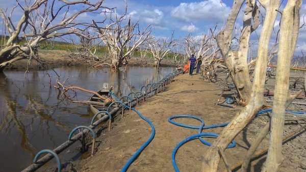 Grupo de Contingência: colegiado agiliza tomada de decisão no enfrentamento aos efeitos da seca
