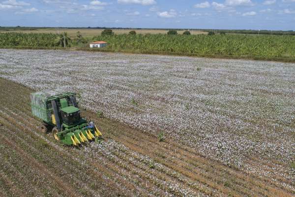 Participação da RMF no PIB cearense cai e do Interior cresce
