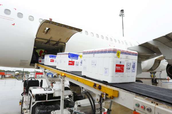 Ceará recebe mais 158.100 doses de vacinas contra a Covid-19